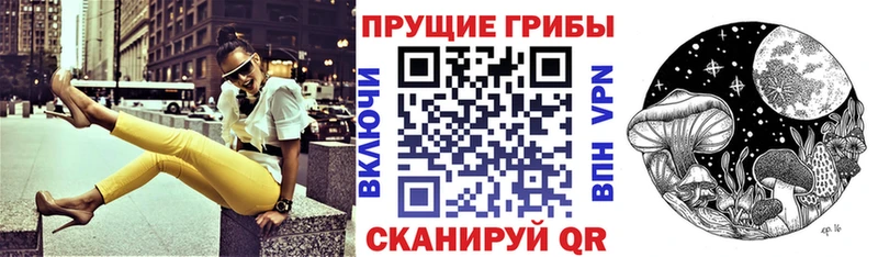 Псилоцибиновые грибы Psilocybe  купить   Луза 